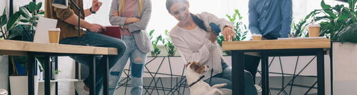 Darf ich meinen Hund mit ins Büro bringen?